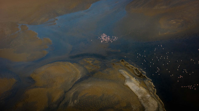 Bird`s eye view flamingos over the Walvis Bay lagune - Namib Desert Namibia