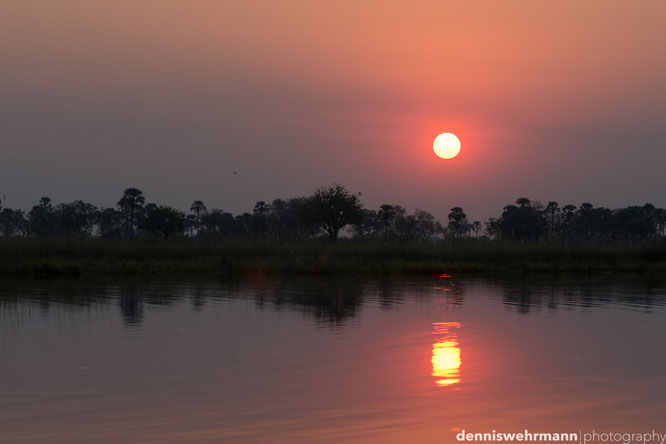 sundown chiefs island okavango delta botswana