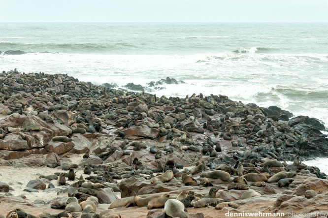 skeleton coast cape cross namib wüste namibia