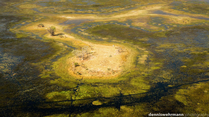 birds eye view okavango delta botswana