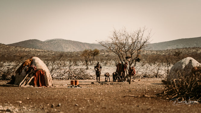 himba kraal epupa kaokoveld namibia