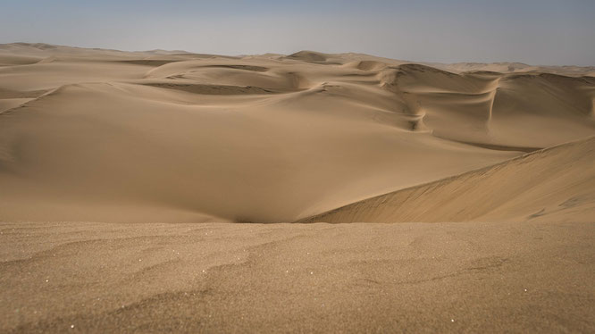 Die Dünen der Namib verändern sich stetig dank des Windes, ein lebendiges Ökosystem trotz der lebensfeindlichen Bedingungen.