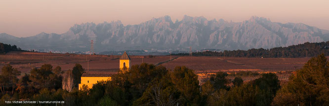 Stellplatz auf einem Weingut auf die Silhouette der gezahnten Berge von Monserrat   