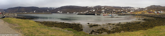 Bird-Safari und Hammerfest mit dem Wohnmobil in Norwegen