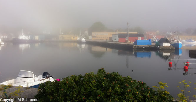 Blick morgens aus unserem "Paul" auf den vernebelten Hafen von Nogasund