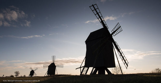 Bockwindmühlen sind das Wahrzeichen der Insel Öland in Schweden