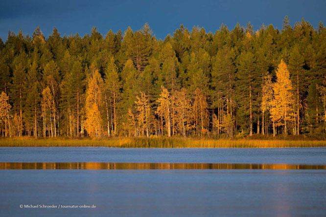 Mit dem Wohnmobil in Finnland unterwegs