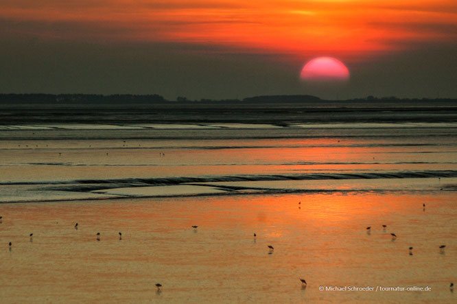Mit dem Wohnmobil an der Nordsee