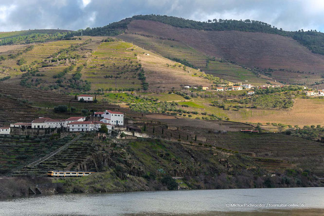 Weingut in der Weinbauregion Alto Duoro