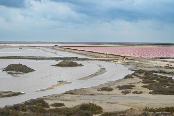 Mit dem Wohnmobil in die Camargue - Salin de Giraud/Salin de Midi