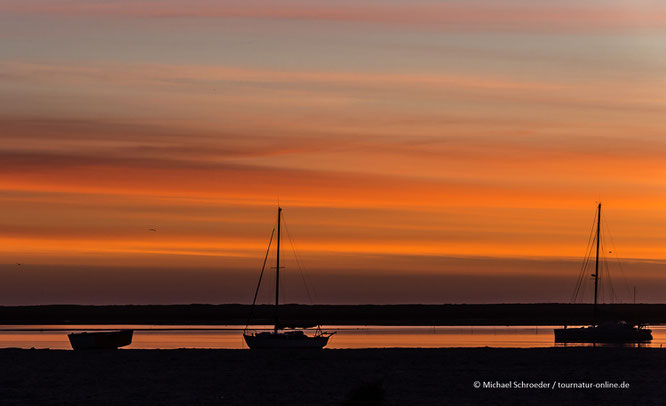 Portugal Sandalgarve Naturpark Ria Formosa Reisemobil Wohnmobil Reisebericht Stellplätze Wohnmobilstellplätze