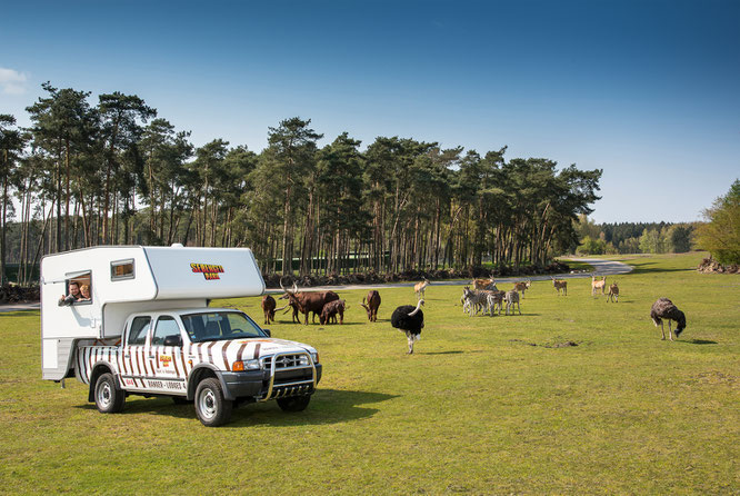  Quelle „Serengeti-Park Hodenhagen“ 
