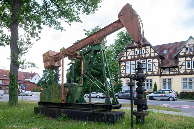Mit dem Camper in der Heide