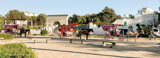 Pferdekutsche an der Strandpromenade von Asilah in Marokko