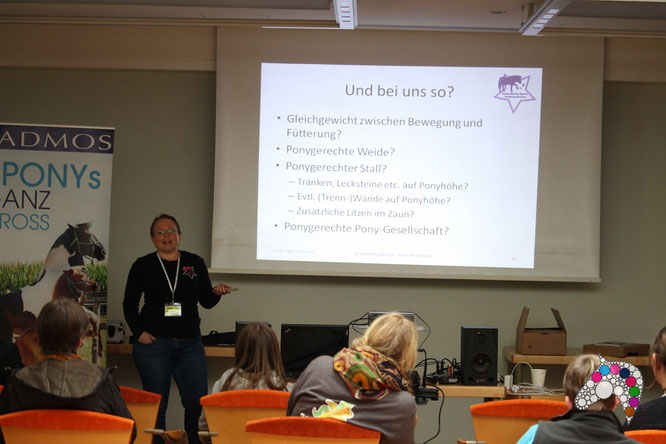 Ponys ganz groß bei #pfernetzt! Foto by Tom (Pferdeflüsterei)