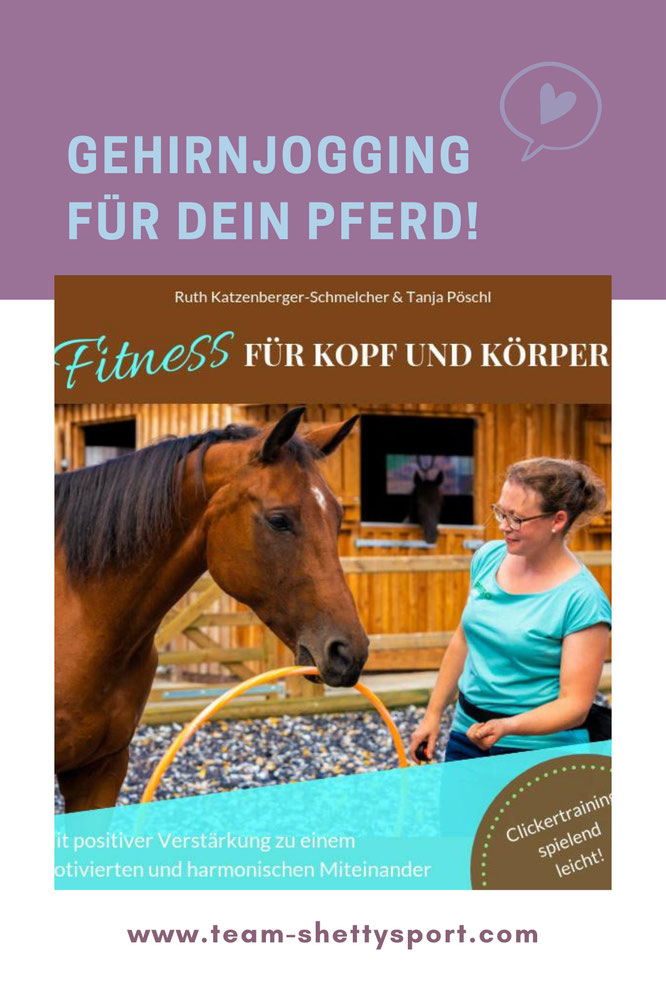 *Gehirnjogging und Muskeltraining für Pferde! Lern- und Konzentrationsspiele für Pferde auf kleinstem Raum trainieren.