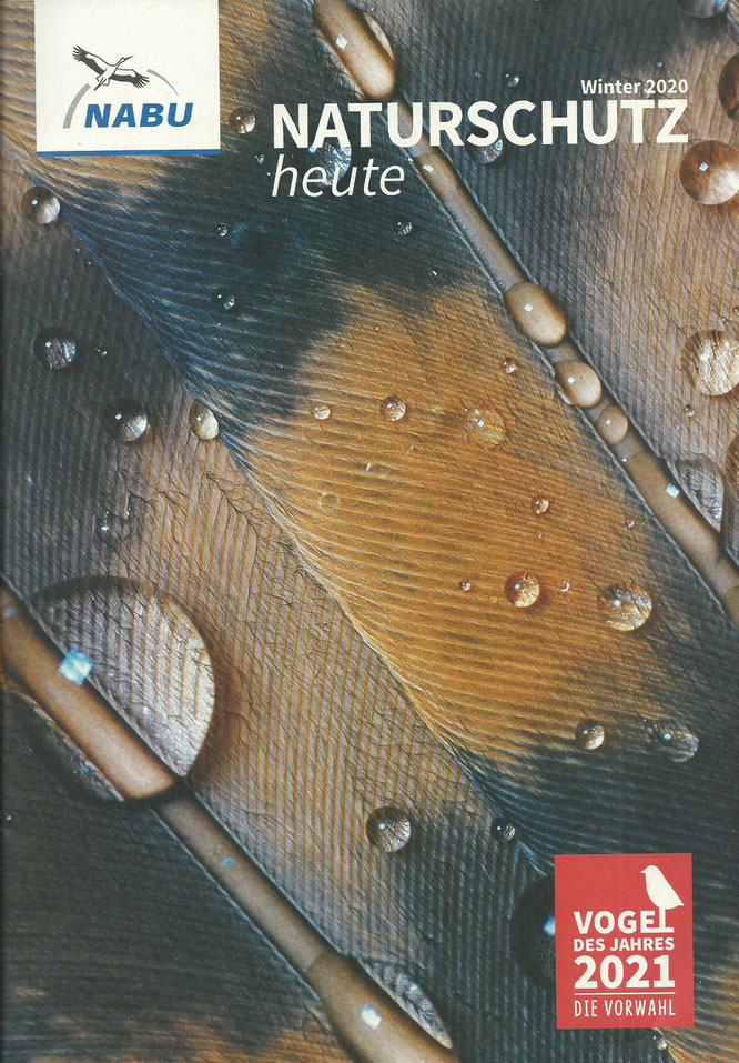 Foto: Programmflyer mit Veranstaltungstipps / Die Verbandszeitschrift "Naturschutz heute"