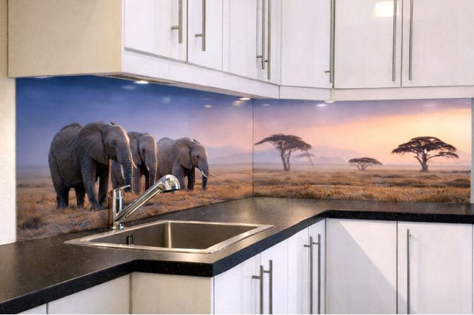 Persoonlijke keuken- wildlife foto in woonkeuken