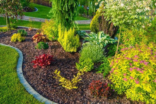 De perfecte tuinindeling voor elke tuin (breed, smal, groot of klein)