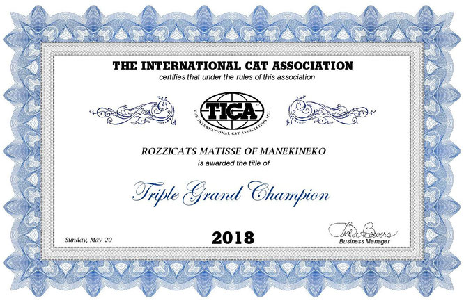 Rozzicats Matisse of Manekineko Triple Grand Champion TICA