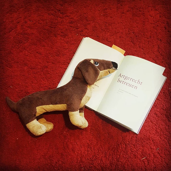 "artgerecht - Das andere Kleinkinderbuch" hilft Eltern auch bei der Eingewöhnung bzw. rund um die Betreuung von Kleinkindern mit fachlich fundiertem Wissen.