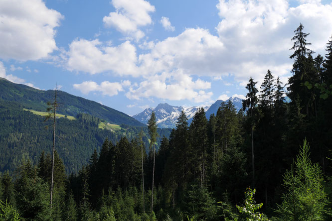 Bergblick