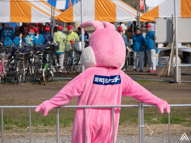 柵によりかかるウサギ