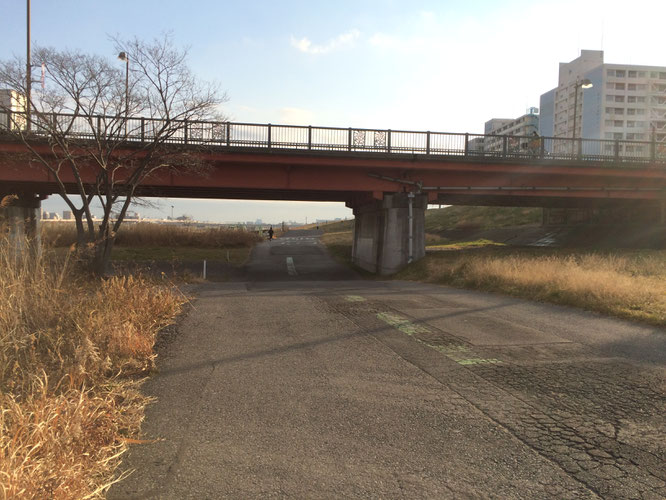 いくつもの橋をくぐって走りました。