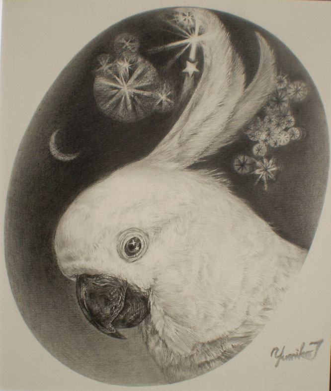 　　　「鳥のみる夢」  　鉛筆画
