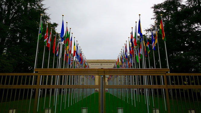 Отделение ООН в Женеве