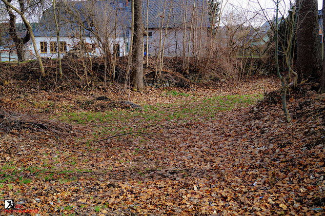 alte Halde des FG Schafstall
