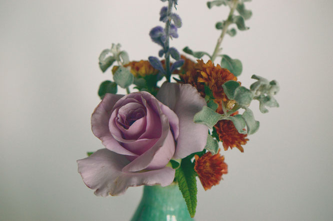 small sunny garden, desert garden, in a vase, monday, amy myers