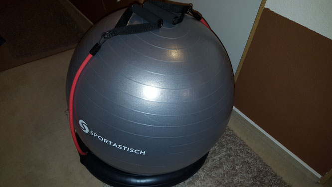 Sportastisch Workoutball