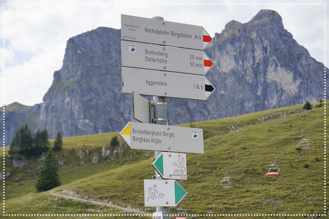 Welchen Weg ich nehme entscheide nur ich! Die Erwartungen der Anderen sind mir mittlerweile schlichtweg egal.