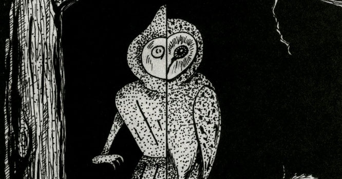 Le Monstre De Faltwoods - Mythes, Légendes Urbaines & Histoires Incroyables