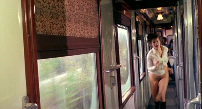 Le Dernier Train De La Nuit (1975) 