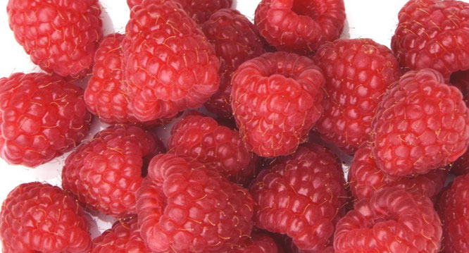 bayas, frambuesas, fruta sana,
