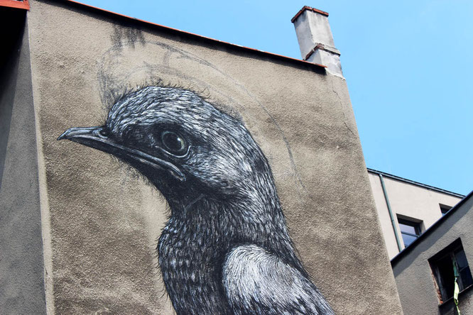 Street Art by ROA in Katowice