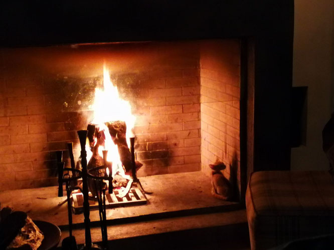 Cat in fireplace