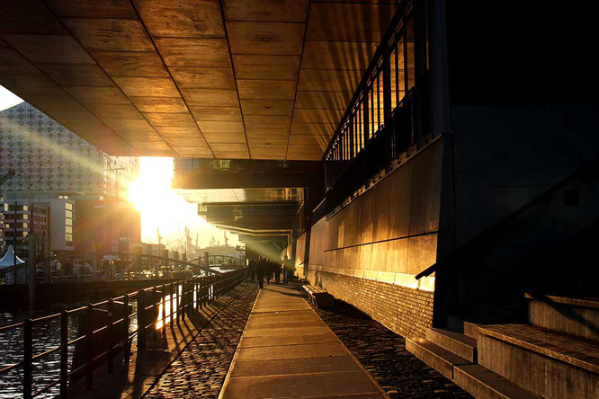 Hafen City at sunset