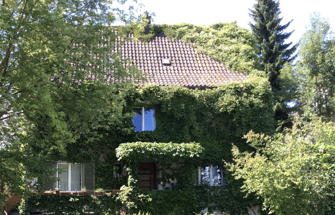 Eigenheim des Autors