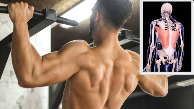 5 Latissimus Ubungen fur zuhause mit ohne Gerate fit trotz Family
