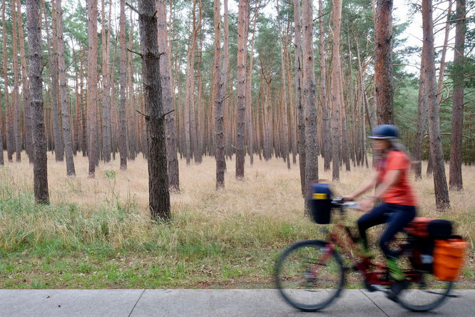 Radfahrerin im Wald