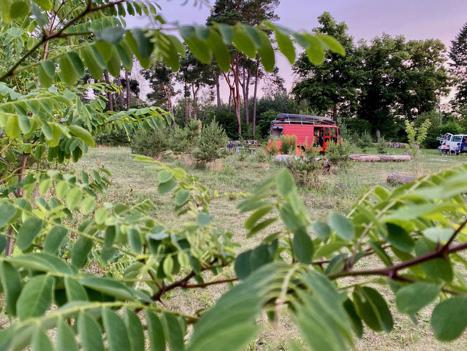 Wilde Heimat Fürstenberg, Ruppiner Seenland, Brandenburg, roter Camping-Bus