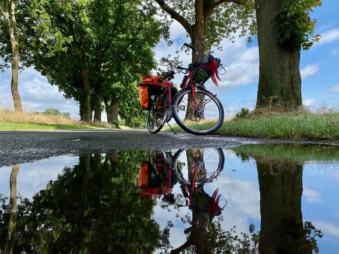 Fahrrad steht auf einer Allee im Ruppiner Seenland, Mark Brandenburg, Spiegelung