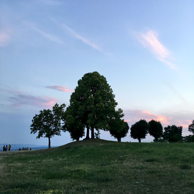 Himmelswiese Wien