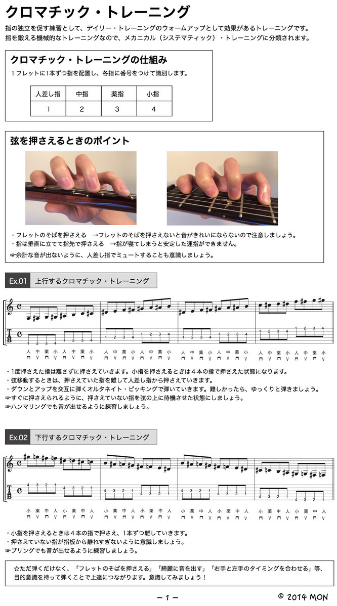 クロマティック ケーナ 運指表付き