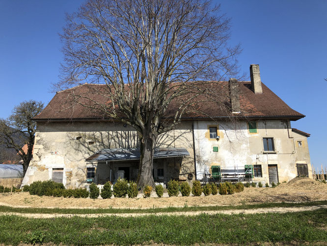 grange à jeanne onnens face ouest