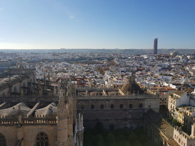 Seville from the Giralda. February 2019