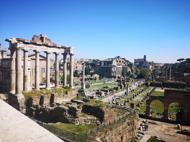 Roman Forum, March 2019